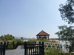 -芒洲湿地公园