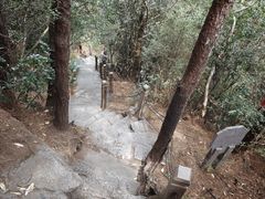 -苍山感通索道