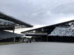 -莲花岛景区