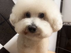 -味多美蛋糕(灯市口店)