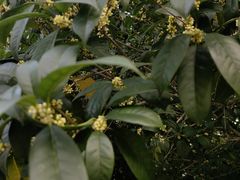 -敬亭山风景名胜区