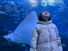 -海合安成都极地海洋公园