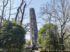 -上海佘山国家森林公园天马山园