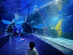 -暹罗海洋世界