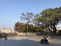 -长洲岛