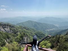 -王顺山国家森林公园