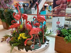 -高新活力汇Vitality