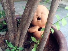 -旅马餐厅(茅家埠店)