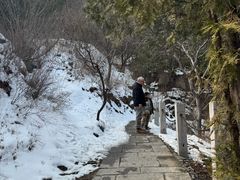 -北京凤凰岭