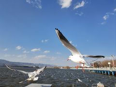 -海埂大坝