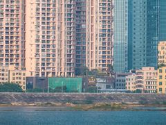 -立新湖公园