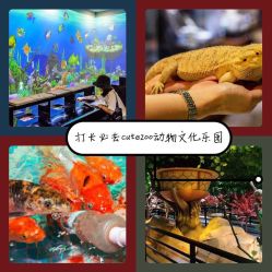 -酷嗒动物文化乐园(cutezoo西溪乐天城店)