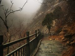 -黑龙潭风景区