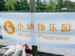 -前小桔亲子创意农场·草莓采摘·露营烧烤