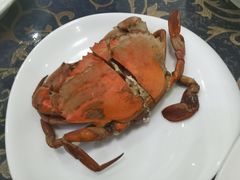 -梅子大排档