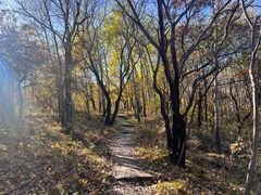 -玉渡山自然风景区