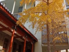 -北京师范大学附属中学