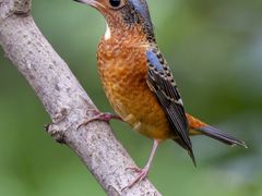 -苏州河梦清园环保主题公园