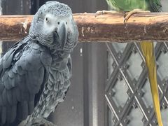 -青藏高原野生动物园