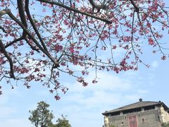 -均和墟历史街区-平和大押