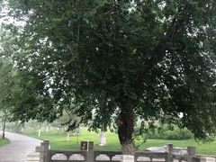 -西海子公园