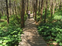 -白草畔自然风景区