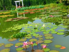 -国家植物园南园