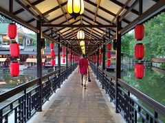 -侨美·唐荔园·40年地道粤菜