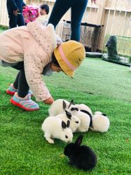 -萌宠亲子动物乐园(槐房万达店)