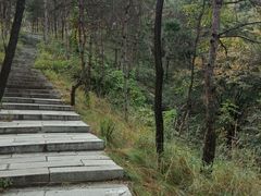 -沂蒙山旅游区云蒙景区(蒙山国家森林公园)
