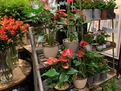-豆豆花艺(新光天地店)