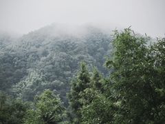 -藏龙百瀑风景区