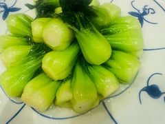 -同乐轩