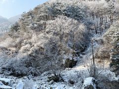 -秦岭终南山世界地质公园翠华山景区