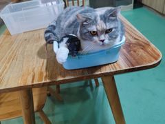 -藦茜花园宠物主题亲子互动体验馆(国顺东路店)