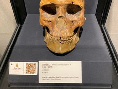 -北京周口店北京人遗址博物馆
