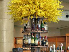 -Plush大堂酒廊(北京金融街威斯汀大酒店)