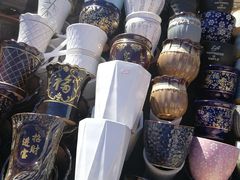 -哈尔滨道外花鸟鱼市场