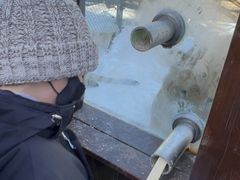 -横道河子东北虎林园