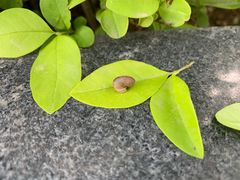 -木塔寺遗址生态公园
