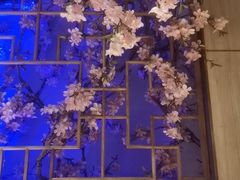 -野妹火锅(布吉店)