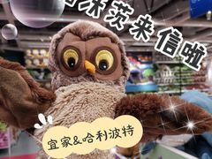 -宜家家居(哈尔滨商场店)