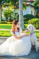 -HY小曼wedding·TOPYOUNG团队