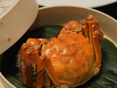 -萬國春·中菜馆(颐和公馆店)