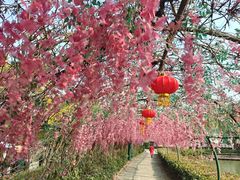 -张公山寨景区