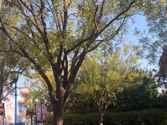 -沈阳方特欢乐世界