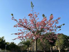 -风云岭森林公园