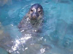 -青岛海底世界-水族馆