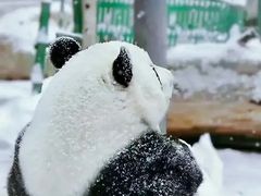 -北京动物园