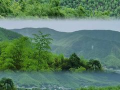 -莫干山风景区
